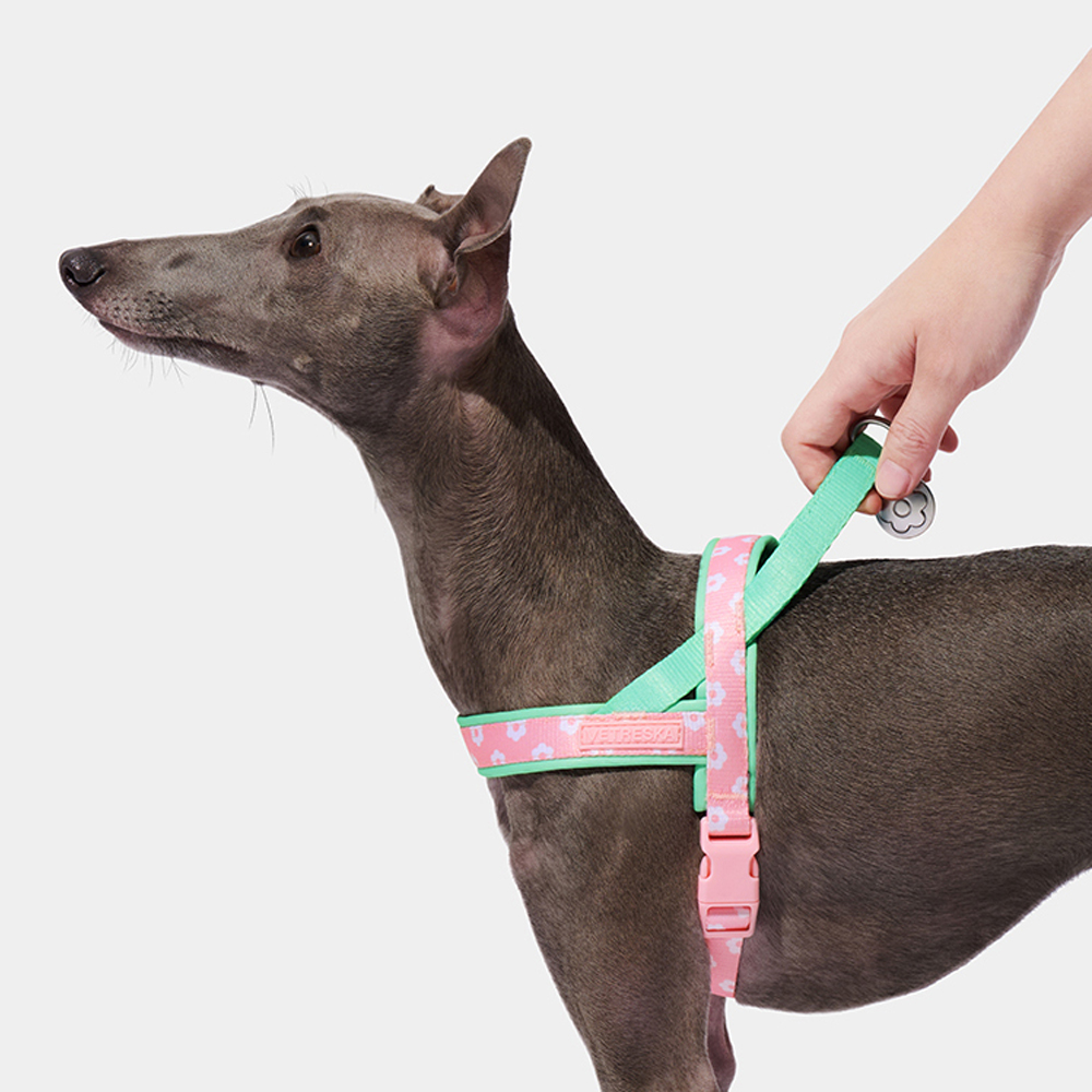 Luxury Pet Chest Strap Tractio - Headcollar Rope Set 评论和价格